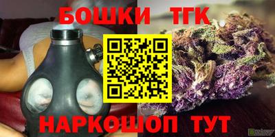 индика Краснокаменск