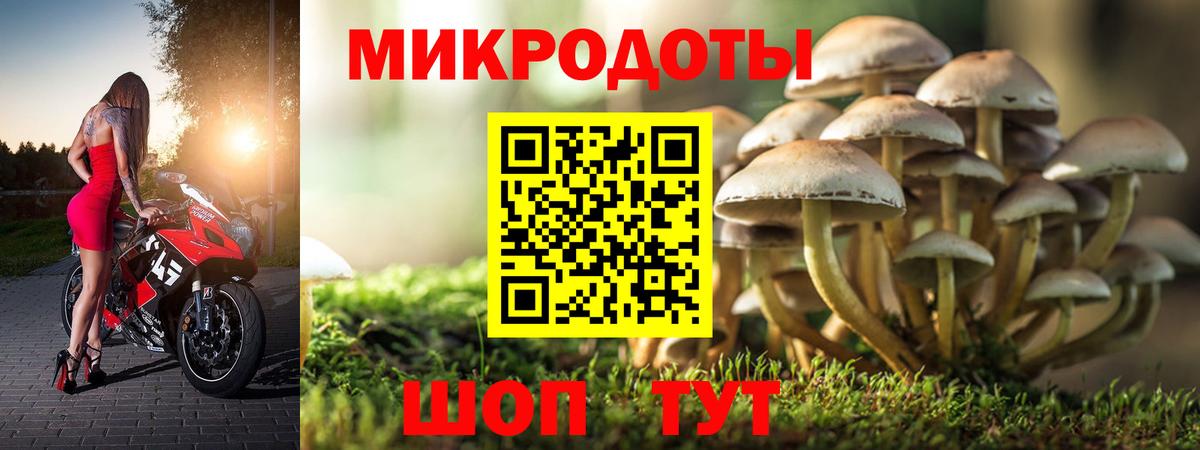 Псилоцибиновые грибы мухоморы Иваново